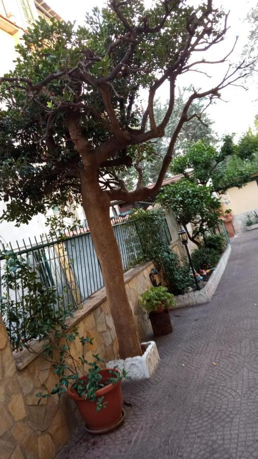 Casa Diana Apartamento Roma Exterior foto